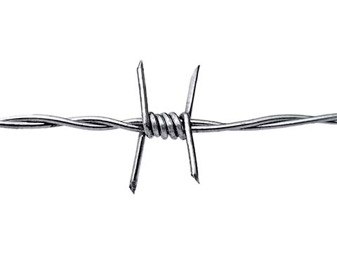 Stainless steel reverse twist barbed wire.