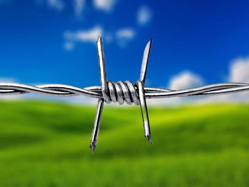 A stainless steel barbed wire on a grassland background