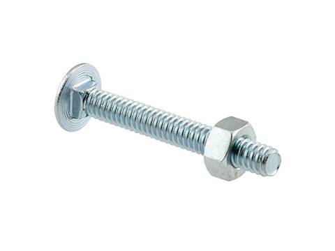 Metallic carriage bolt and a nut.