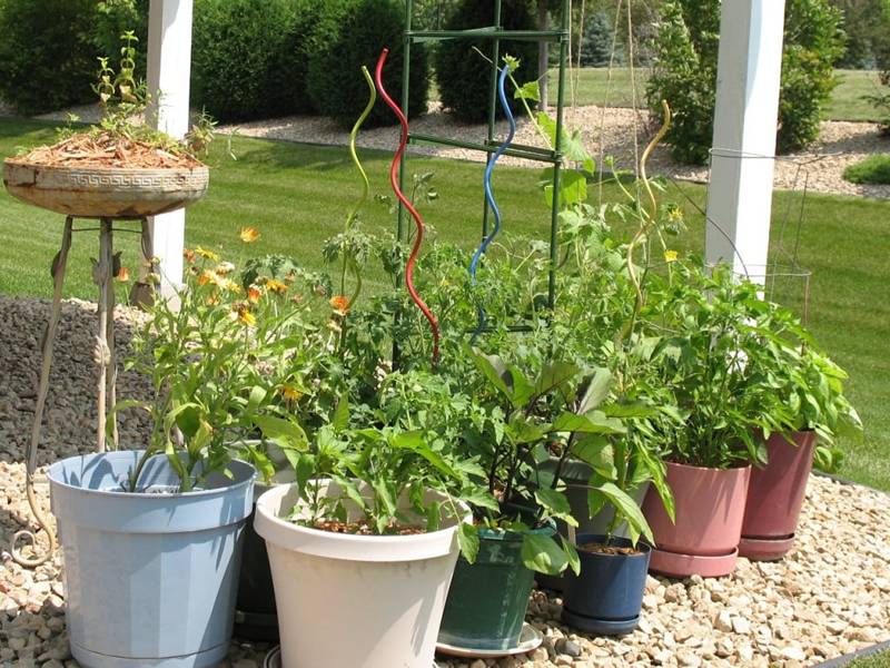 Plant Supports & Cages - Tomato Cages, Stem Holders