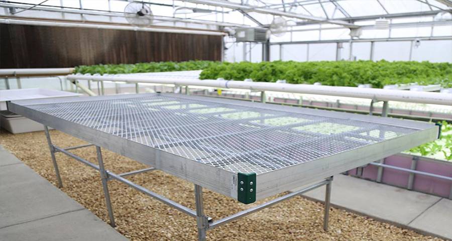 Expanded metal panels installed on the greenhouse bench top