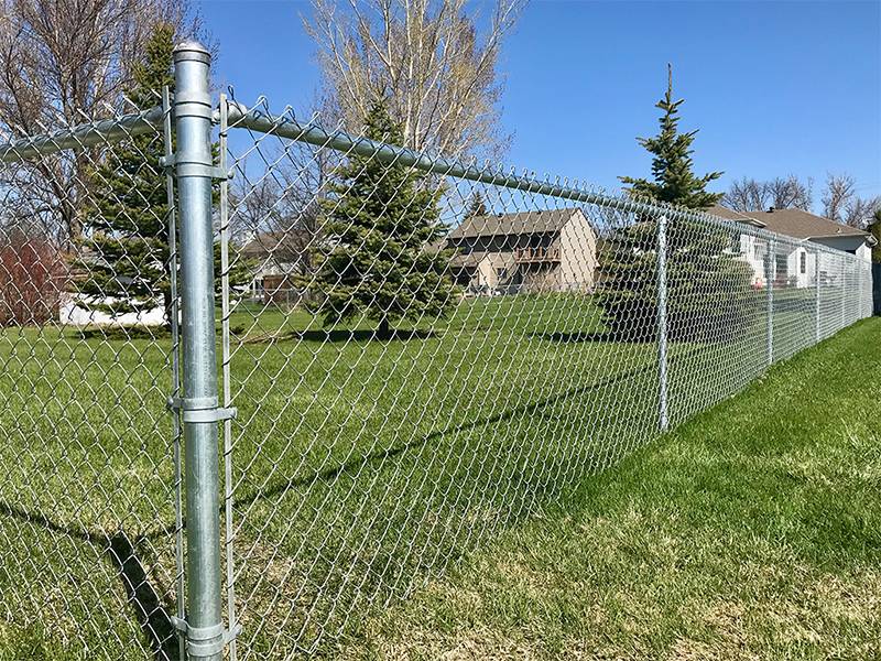 The house and the trees in the yard are seen through the galvanized chain link fence