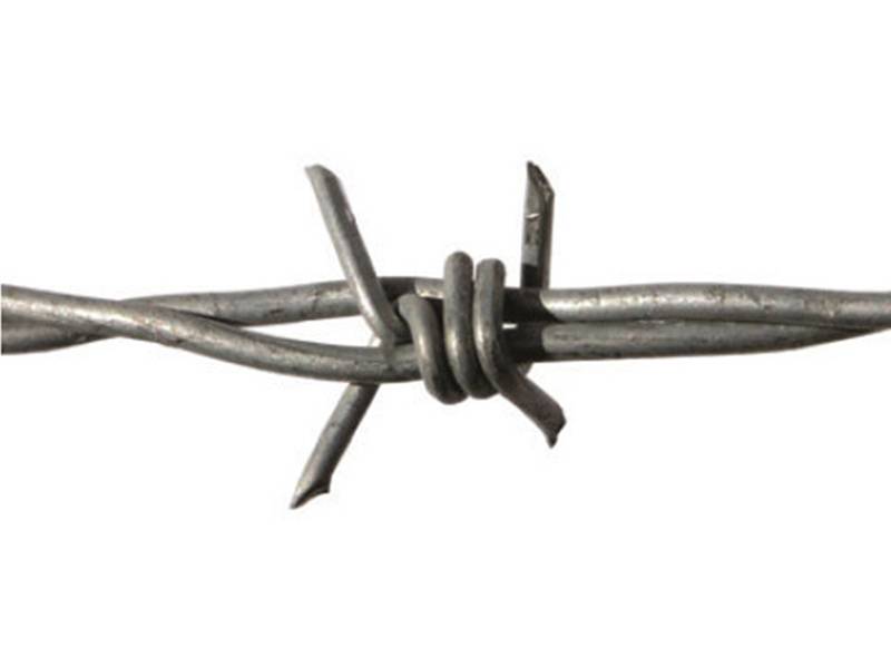 One traditional twist barbed wire